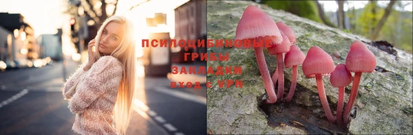 индика Абдулино