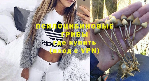 индика Абдулино