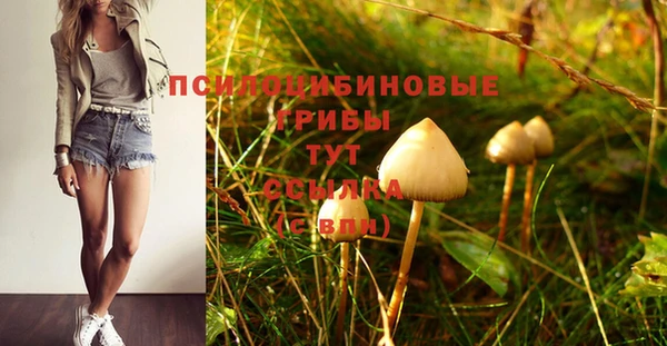 индика Абдулино