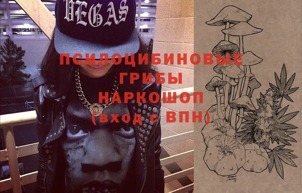 индика Абдулино