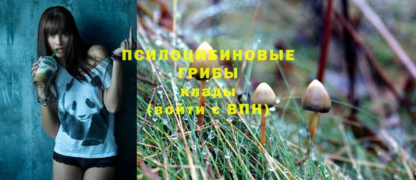 гашиш Абаза