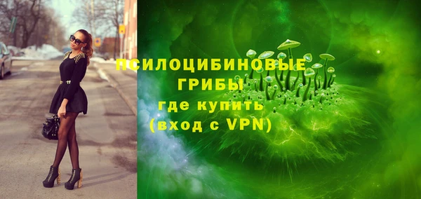индика Абдулино