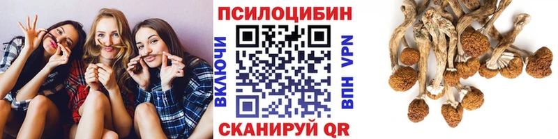 мега ссылки  площадка какой сайт  Псилоцибиновые грибы мицелий  Поворино 
